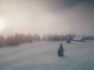 Fototapeta premium Aerial view of the winter background with a snow covered forest and lake