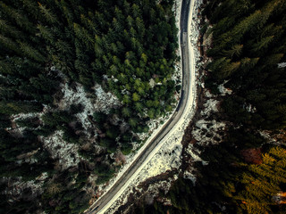 Road curve wintery forest aerial