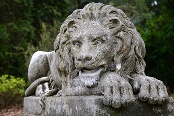 Fototapeta na wymiar Lying stone lion statue, staring forward, placed on stone pedestal as guardian in botanical garden