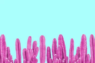 Gordijnen Pink cactus on turquoise background © giftography