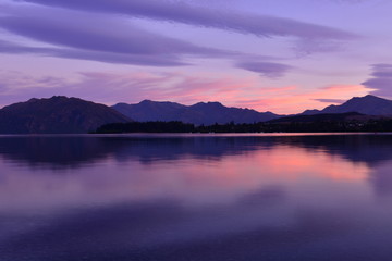 ニュージーランドのワナカツリー