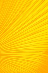 yellow color pattern background