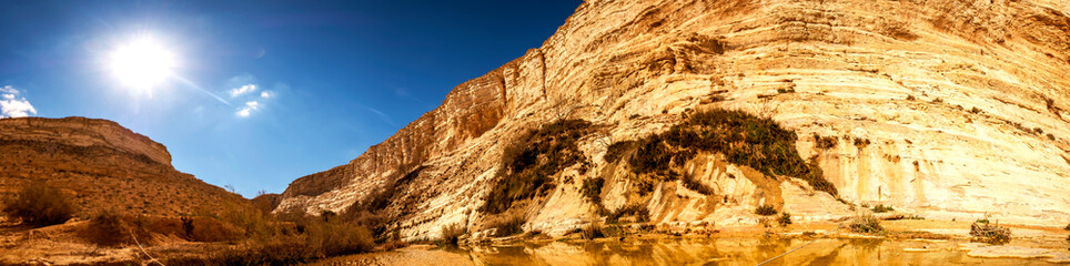 Fototapeta na wymiar panorama landscape view in the desert, E'in Ovdat nature reserve, Israel
