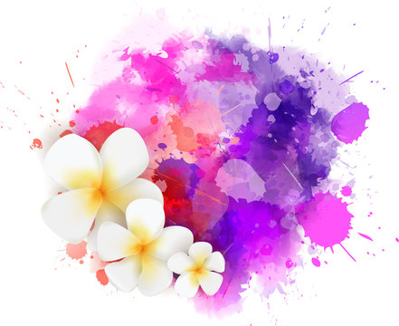 Abstract paint splash with plumeria flowers