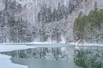 Obraz premium 長野県大町市の雪景色の中綱湖と凍りつく水面の景色