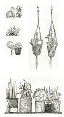raster monochrome hand drawn sketchy illustration with cute plants. Can be used as an image for printed decorations.
