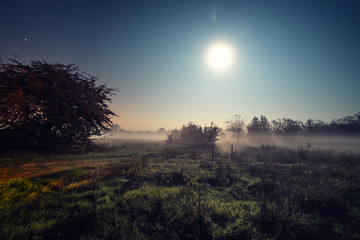 Full moon, night view of the forest shrouded in mist