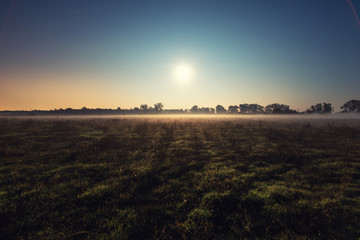 Full moon, night view of the forest shrouded in mist