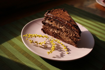 piece of chocolate cake on a plate