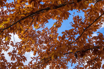 「原村」日本で最も美しい村