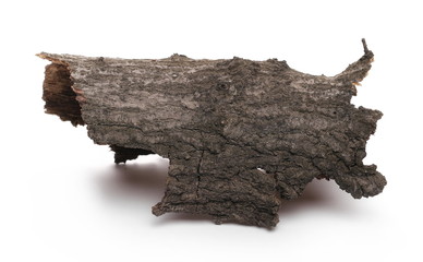 Tree bark isolated on white background