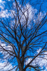 「原村」日本で最も美しい村