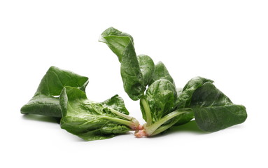 Fresh spinach leaves isolated on white background