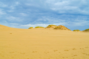 Dunes of Leba in the desert of Slowinski National Park, Poland