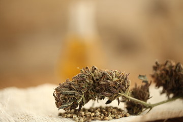 oil cbd hemp seeds marijuana medical cannabis