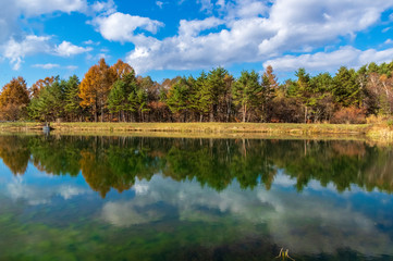 Fototapeta premium 「原村」日本で最も美しい村