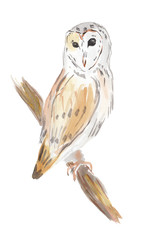 Watercolor owl on a branch