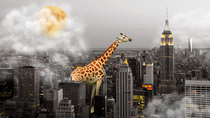 New York - Skyline - Giraffe