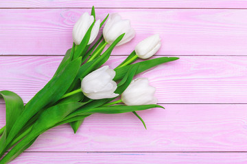 Fresh tulips bunch on pastel pink background