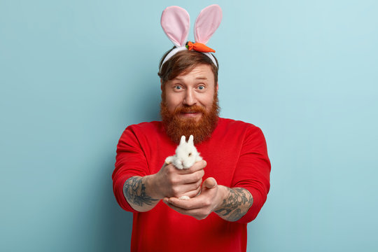 Funny red haired man in casual clothes, suggests to buy small decorative white bunny, wears long rabbits ears, defends rights of animals, has tattoos on arms, ready to celebrate Easter holiday