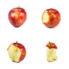 4 Äpfel Freisteller