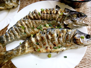 Trout Dish in the Carpathian Mountains