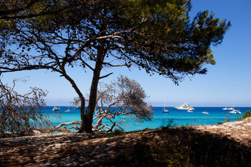 Corsica, France, seascape background. Horizontal view.