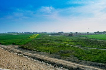 Fototapeta na wymiar landscape,green fields with blue sky.