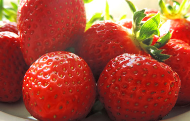 strawberries on a white background