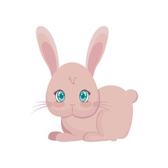 cute rabbit animal character