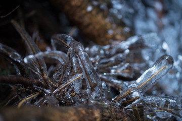 ice, icicles in water