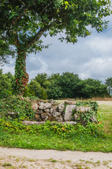 Stone bench at the foot of a tree in Finistere in France under a cloudy sky