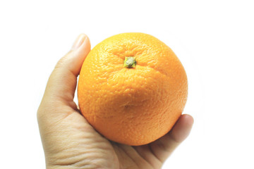 Orange fruit put on hand palm with white background	