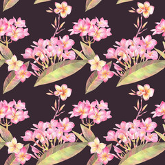 Hand painted watercolor illustration. Floral seamless pattern with exotic tropical flowers of plumeria.