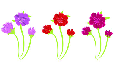 Beautiful flowers pack vector design illustration isolated on white background