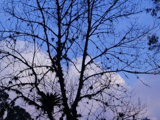 Silhoutte between cloud and sky