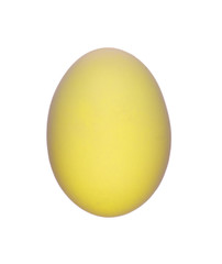 Yellow Chicken Egg isolated on white background