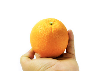 Put orange fruit on hand palm with white background