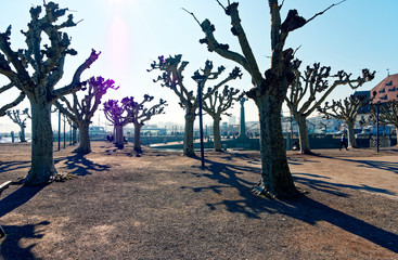 Hafen in Konstanz - Bodensee - Deutschland