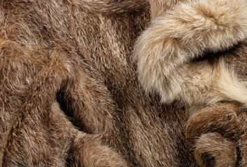 Close up at fur coat texture, animal skin background