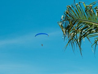 Paraglider