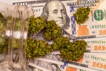 100 Dollar Bill Macro Closeup