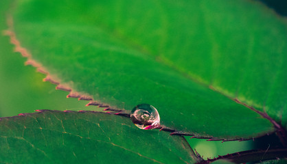 Nature in morning