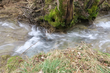 Stromschnelle des Brühlbachs vor einem mit Moos bewachsenem Baum in Bad Urach 