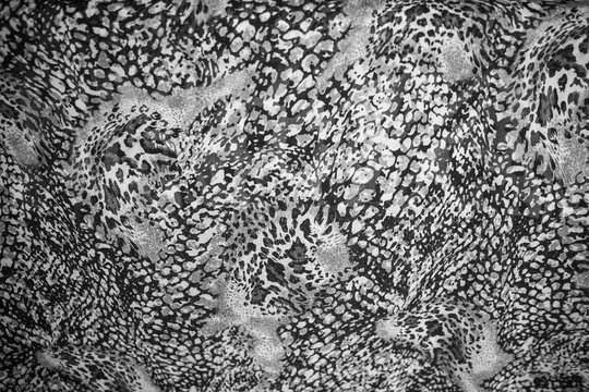 Snake textured print on the fashion material. Trends of the year.