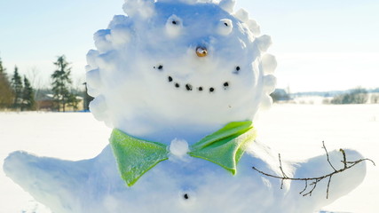 9043_Closer_look_of_the_spiky_haired_snowman.jpg