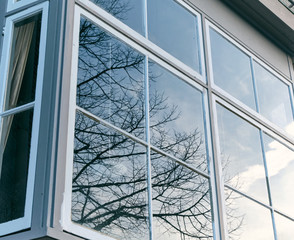 a tree reflection on the window - illusion mirror.