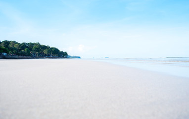 The placement of shells and sea sand backdrop. Editing pictures, where appropriate. Summer season and holidays at sea