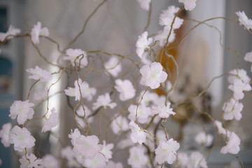 Naklejka premium Flowering spring tree