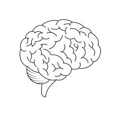 Brain vector icon isolated on a white background.